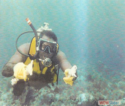 Scuba Diving..